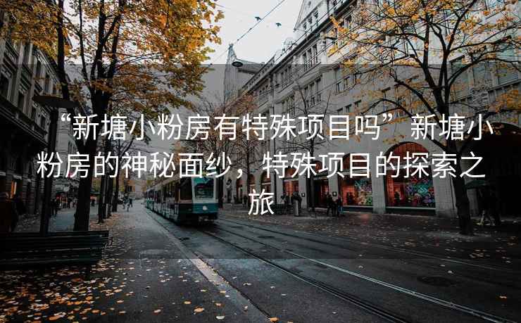 “新塘小粉房有特殊項(xiàng)目嗎”新塘小粉房的神秘面紗，特殊項(xiàng)目的探索之旅