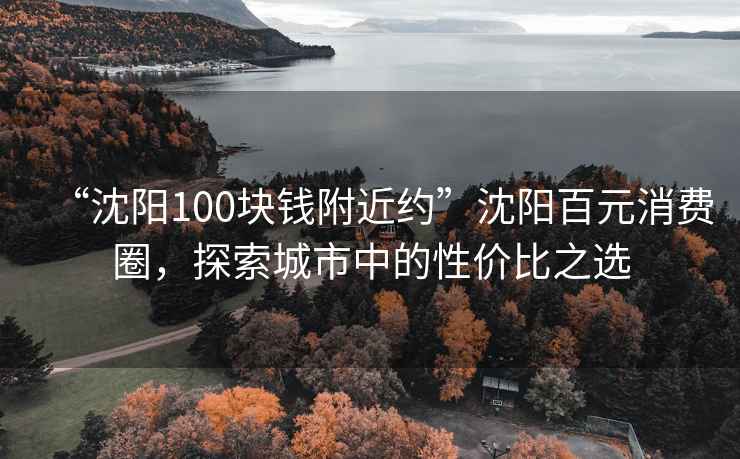 “沈陽100塊錢附近約”沈陽百元消費(fèi)圈，探索城市中的性價(jià)比之選