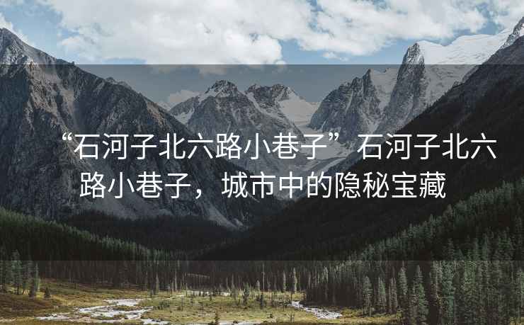 “石河子北六路小巷子”石河子北六路小巷子，城市中的隱秘寶藏