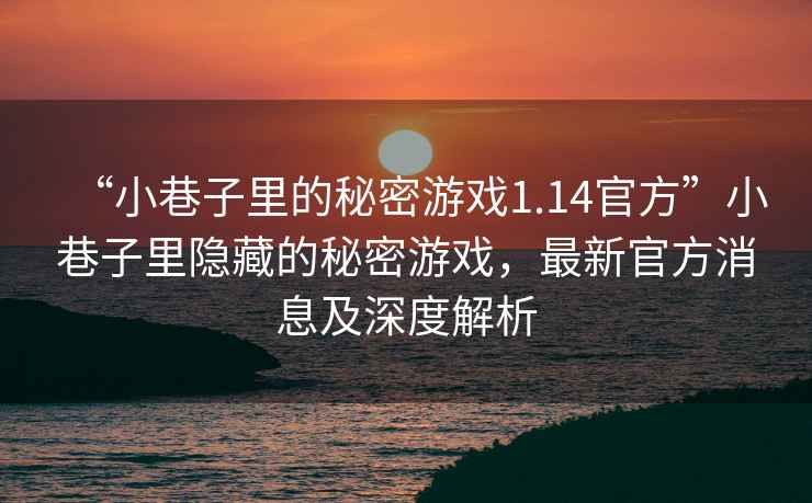 “小巷子里的秘密游戲1.14官方”小巷子里隱藏的秘密游戲，最新官方消息及深度解析