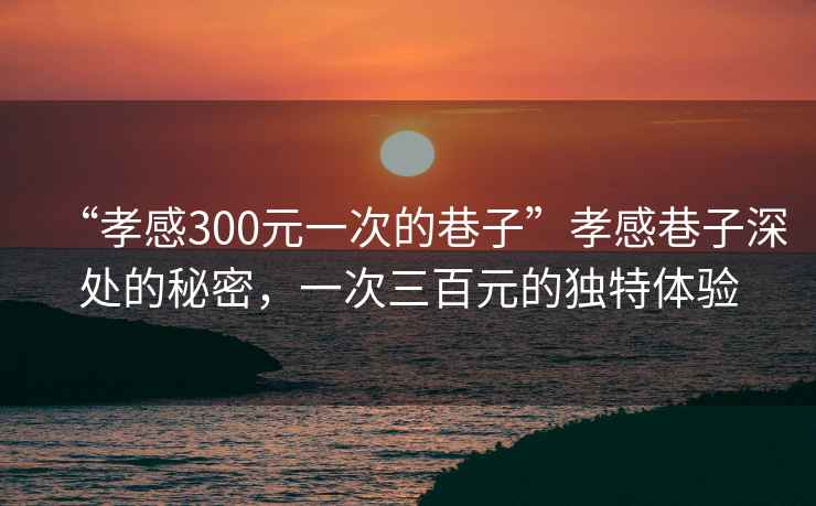 “孝感300元一次的巷子”孝感巷子深處的秘密，一次三百元的獨(dú)特體驗(yàn)