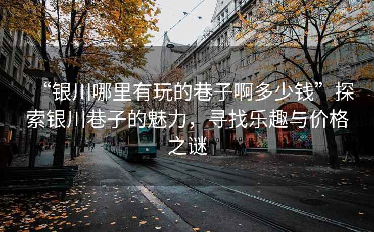 “銀川哪里有玩的巷子啊多少錢(qián)”探索銀川巷子的魅力，尋找樂(lè)趣與價(jià)格之謎