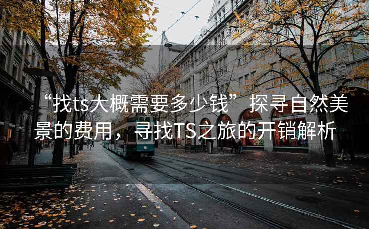 “找ts大概需要多少錢”探尋自然美景的費(fèi)用，尋找TS之旅的開(kāi)銷解析
