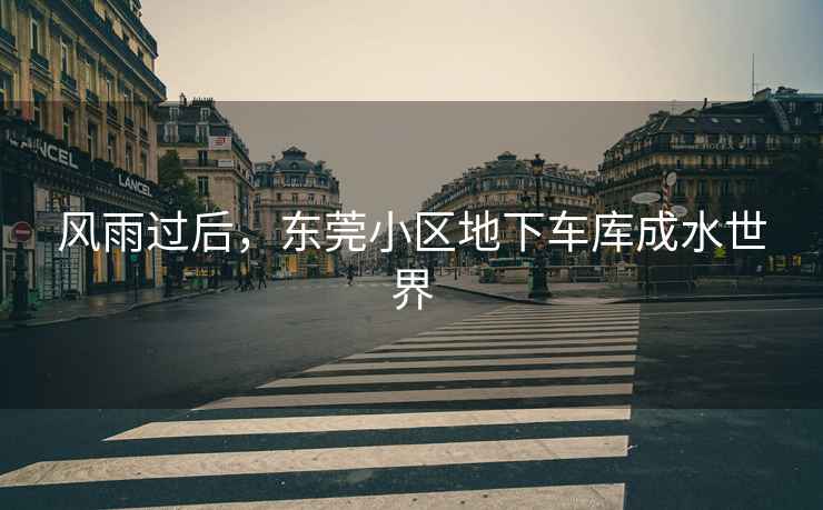 風(fēng)雨過(guò)后，東莞小區(qū)地下車(chē)庫(kù)成水世界