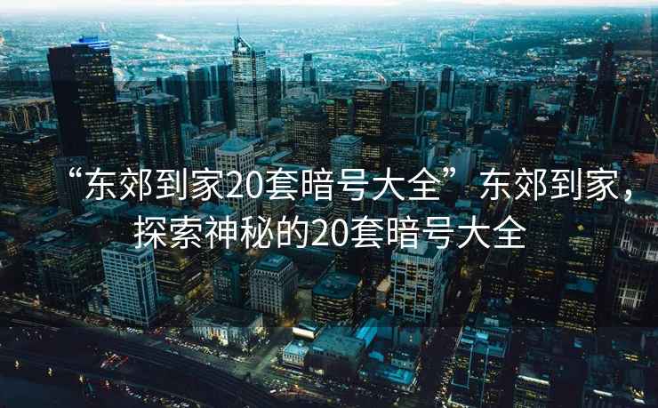 “東郊到家20套暗號大全”東郊到家，探索神秘的20套暗號大全