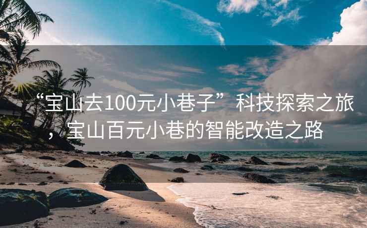 “寶山去100元小巷子”科技探索之旅，寶山百元小巷的智能改造之路