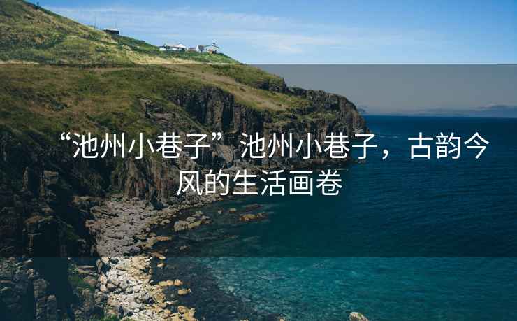 “池州小巷子”池州小巷子，古韻今風的生活畫卷