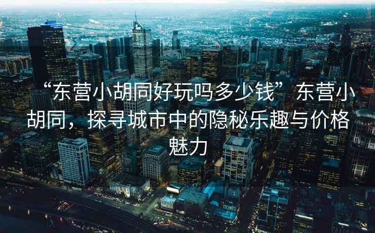 “東營小胡同好玩嗎多少錢”東營小胡同，探尋城市中的隱秘樂趣與價格魅力