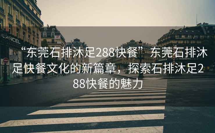 “東莞石排沐足288快餐”東莞石排沐足快餐文化的新篇章，探索石排沐足288快餐的魅力
