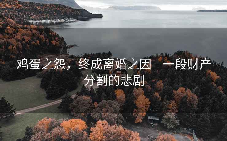 雞蛋之怨，終成離婚之因—一段財產(chǎn)分割的悲劇