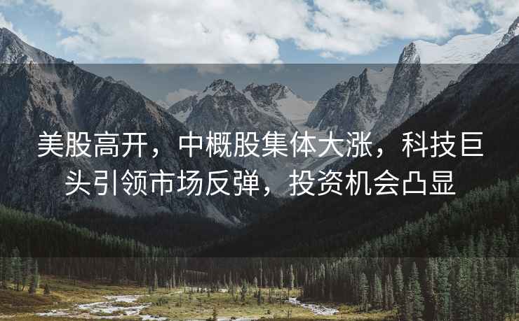 美股高開(kāi)，中概股集體大漲，科技巨頭引領(lǐng)市場(chǎng)反彈，投資機(jī)會(huì)凸顯