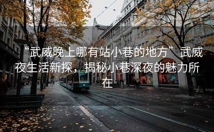 “武威晚上哪有站小巷的地方”武威夜生活新探，揭秘小巷深夜的魅力所在