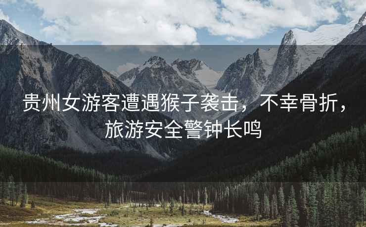 貴州女游客遭遇猴子襲擊，不幸骨折，旅游安全警鐘長鳴