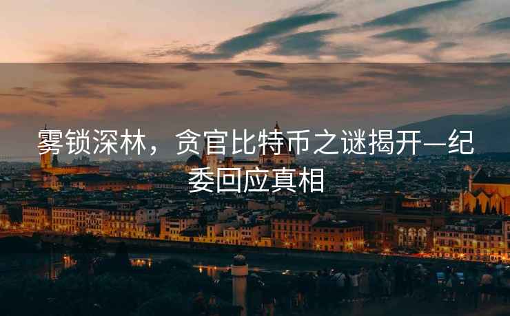霧鎖深林，貪官比特幣之謎揭開(kāi)—紀(jì)委回應(yīng)真相