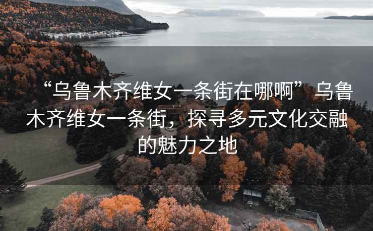 “烏魯木齊維女一條街在哪啊”烏魯木齊維女一條街，探尋多元文化交融的魅力之地