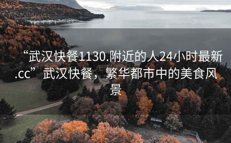 “武漢快餐1130.附近的人24小時最新.cc”武漢快餐，繁華都市中的美食風景