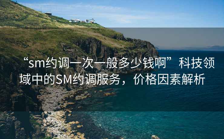 “sm約調(diào)一次一般多少錢(qián)啊”科技領(lǐng)域中的SM約調(diào)服務(wù)，價(jià)格因素解析