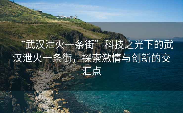 “武漢泄火一條街”科技之光下的武漢泄火一條街，探索激情與創(chuàng)新的交匯點
