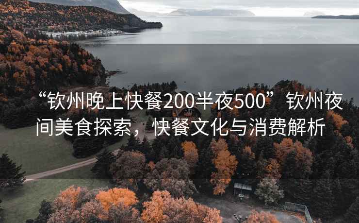 “欽州晚上快餐200半夜500”欽州夜間美食探索，快餐文化與消費解析