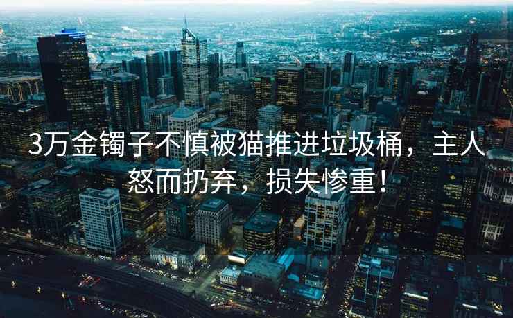3萬金鐲子不慎被貓推進(jìn)垃圾桶，主人怒而扔棄，損失慘重！
