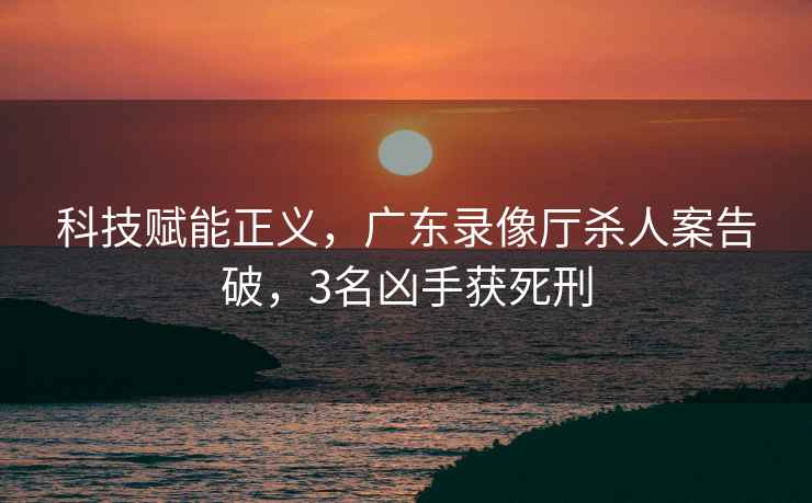科技賦能正義，廣東錄像廳殺人案告破，3名兇手獲死刑