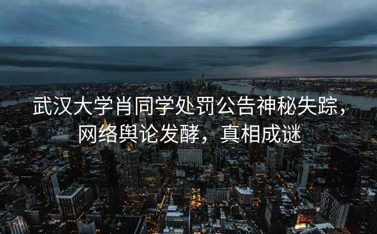 武漢大學肖同學處罰公告神秘失蹤，網絡輿論發(fā)酵，真相成謎