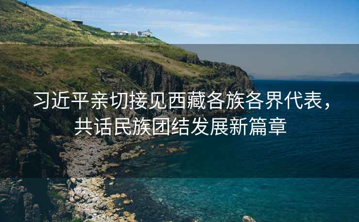 習(xí)近平親切接見西藏各族各界代表，共話民族團(tuán)結(jié)發(fā)展新篇章