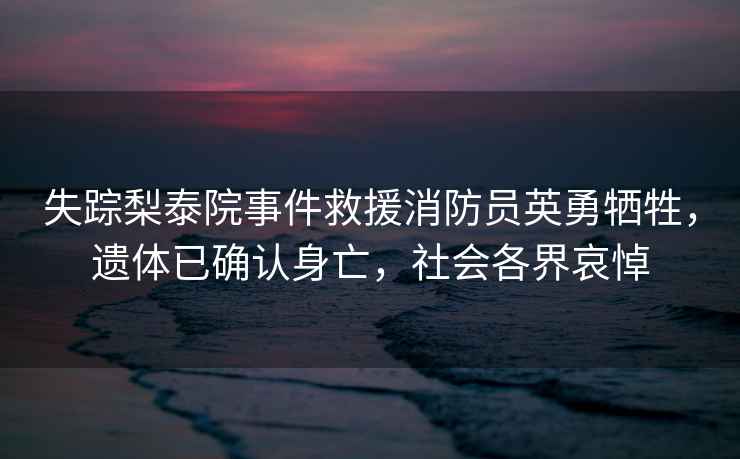 失蹤梨泰院事件救援消防員英勇犧牲，遺體已確認身亡，社會各界哀悼