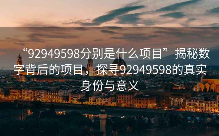 “92949598分別是什么項目”揭秘數(shù)字背后的項目，探尋92949598的真實身份與意義