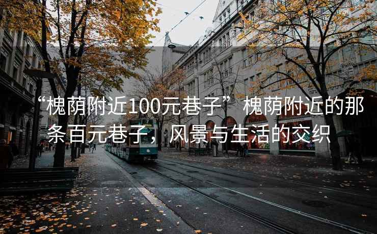 “槐蔭附近100元巷子”槐蔭附近的那條百元巷子，風(fēng)景與生活的交織