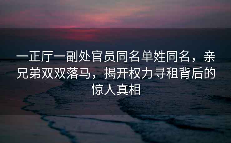 一正廳一副處官員同名單姓同名，親兄弟雙雙落馬，揭開權(quán)力尋租背后的驚人真相