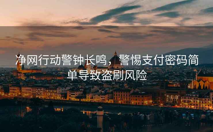 凈網(wǎng)行動(dòng)警鐘長鳴，警惕支付密碼簡單導(dǎo)致盜刷風(fēng)險(xiǎn)
