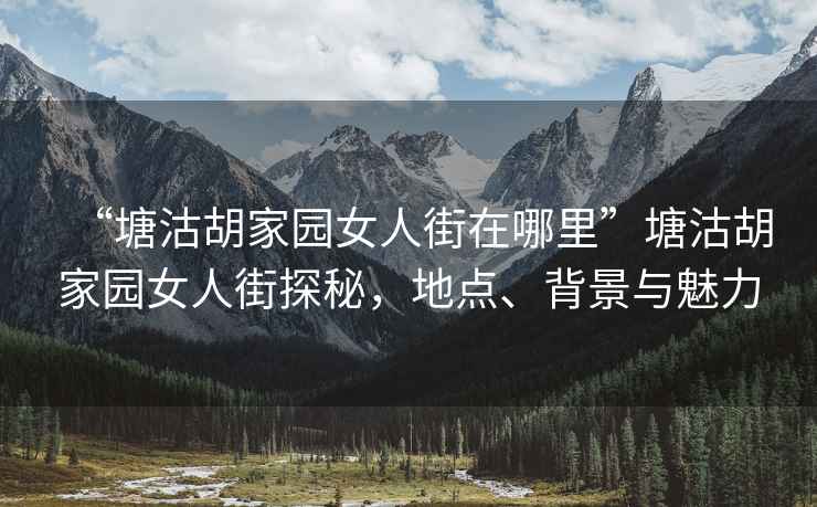 “塘沽胡家園女人街在哪里”塘沽胡家園女人街探秘，地點(diǎn)、背景與魅力