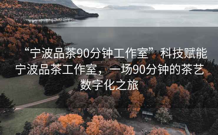 “寧波品茶90分鐘工作室”科技賦能寧波品茶工作室，一場90分鐘的茶藝數(shù)字化之旅