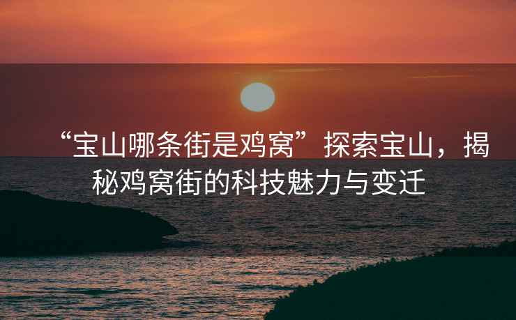 “寶山哪條街是雞窩”探索寶山，揭秘雞窩街的科技魅力與變遷