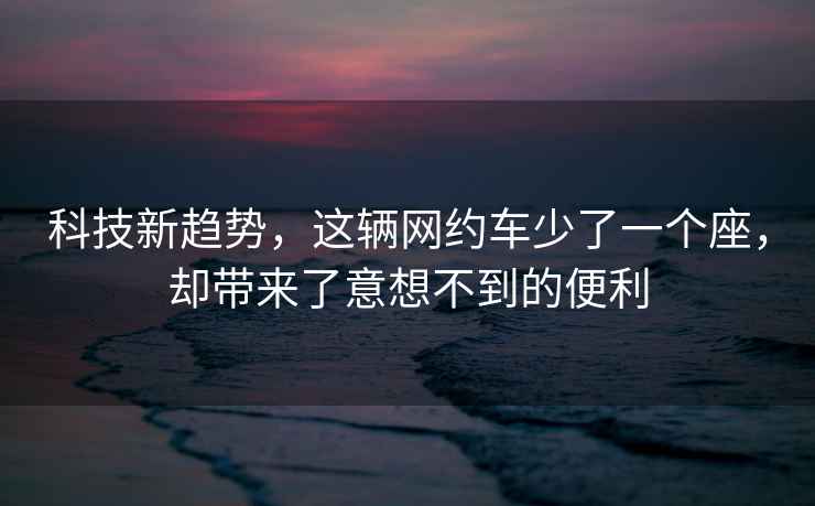 科技新趨勢，這輛網(wǎng)約車少了一個座，卻帶來了意想不到的便利