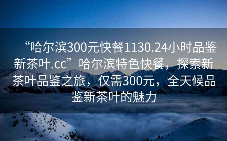 “哈爾濱300元快餐1130.24小時(shí)品鑒新茶葉.cc”哈爾濱特色快餐，探索新茶葉品鑒之旅，僅需300元，全天候品鑒新茶葉的魅力