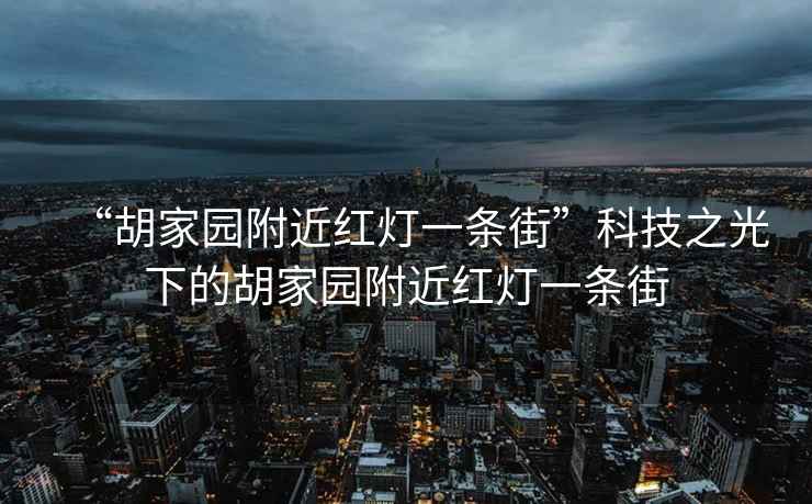 “胡家園附近紅燈一條街”科技之光下的胡家園附近紅燈一條街