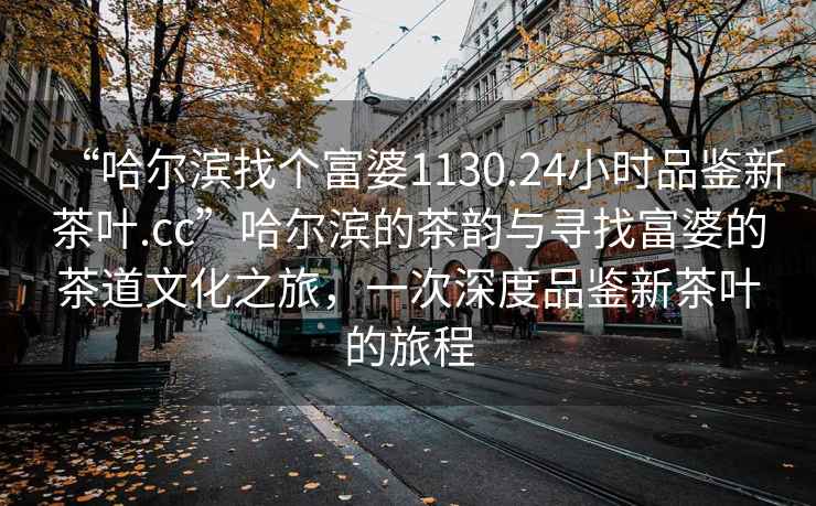 “哈爾濱找個富婆1130.24小時品鑒新茶葉.cc”哈爾濱的茶韻與尋找富婆的茶道文化之旅，一次深度品鑒新茶葉的旅程