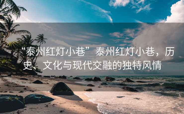 “泰州紅燈小巷”泰州紅燈小巷，歷史、文化與現(xiàn)代交融的獨特風(fēng)情