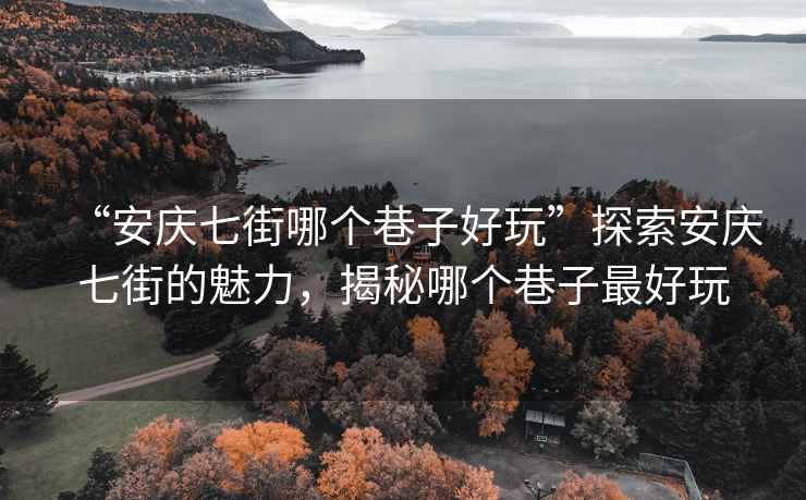“安慶七街哪個巷子好玩”探索安慶七街的魅力，揭秘哪個巷子最好玩