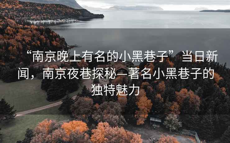 “南京晚上有名的小黑巷子”當(dāng)日新聞，南京夜巷探秘—著名小黑巷子的獨特魅力