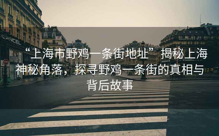 “上海市野雞一條街地址”揭秘上海神秘角落，探尋野雞一條街的真相與背后故事