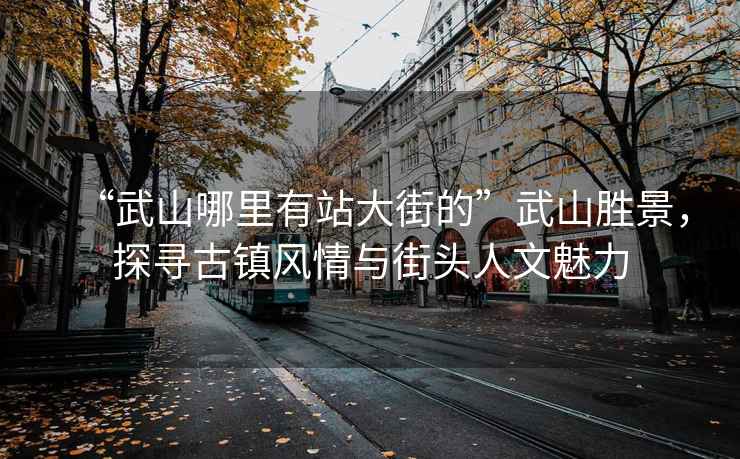 “武山哪里有站大街的”武山勝景，探尋古鎮(zhèn)風情與街頭人文魅力