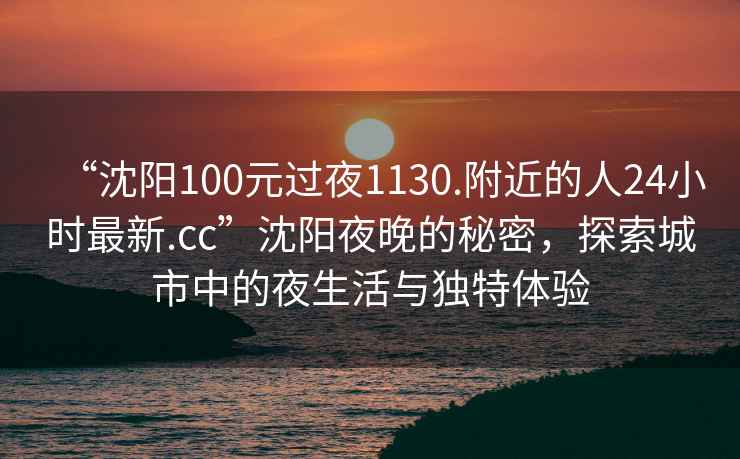 “沈陽(yáng)100元過(guò)夜1130.附近的人24小時(shí)最新.cc”沈陽(yáng)夜晚的秘密，探索城市中的夜生活與獨(dú)特體驗(yàn)